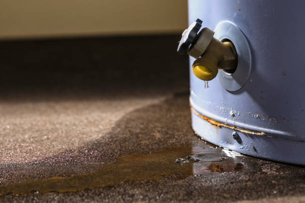 Best 24-hour water damage restoration  in Livermore, CA