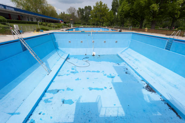 Best Mold removal after water damage  in Livermore, CA
