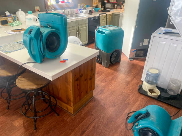 Best Professional water damage repair  in Livermore, CA