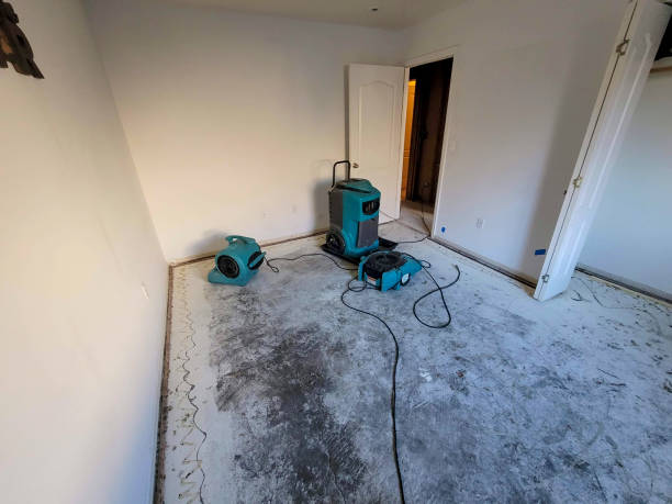 Reliable Livermore, CA Water damage restoration Solutions