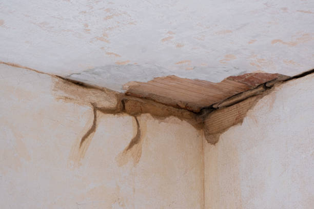 Best Local water damage restoration  in Livermore, CA