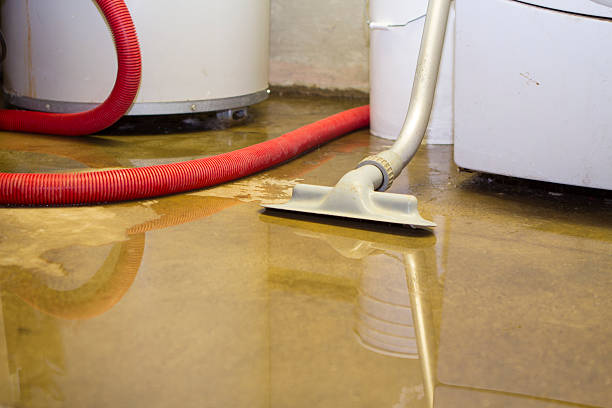 Best Flood restoration services  in Livermore, CA