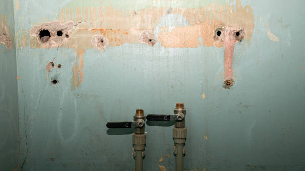 Best Flood damage cleanup  in Livermore, CA