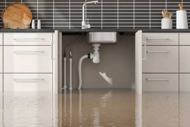 Best Water damage cleanup near me  in Livermore, CA