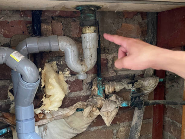 Best Basement water damage restoration  in Livermore, CA